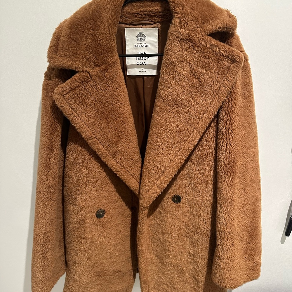 Aritzia Babaton Teddy Coat in Dark Brûlée